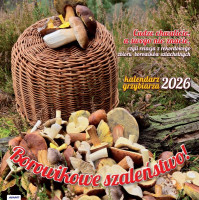 Kalendarz albumowy duży KAD-6 Poradnik Grzybiarza Avanti